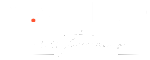 Inmobiliaria Maihue-i Logo